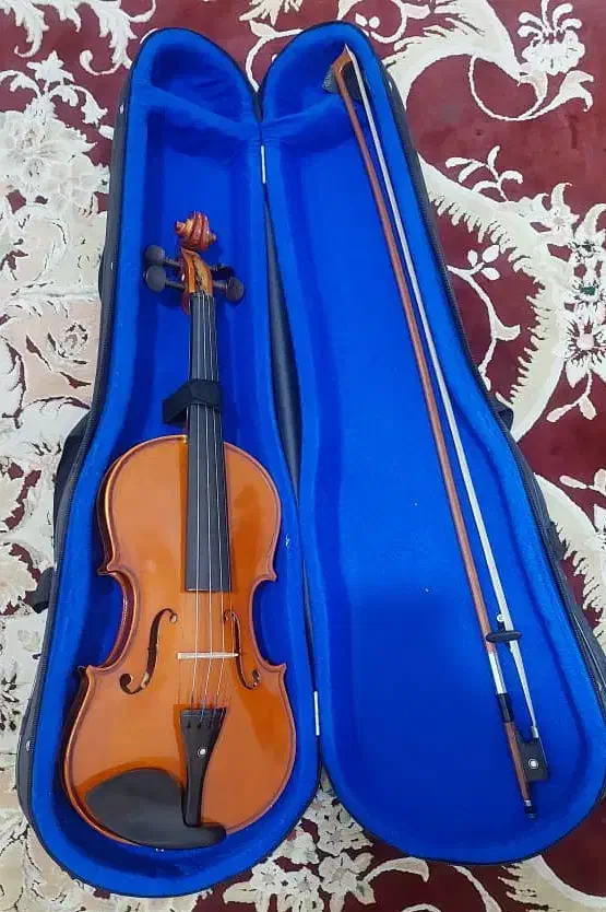 فروش ویولن کاملاً نو|ویولن|سیرجان, |دیوار