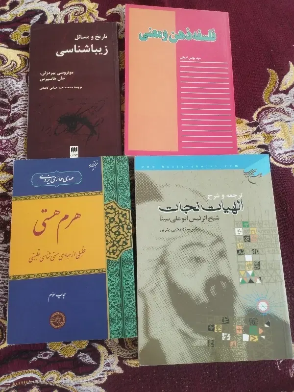 فلسفی|کتاب و مجله تاریخی|آمل, |دیوار