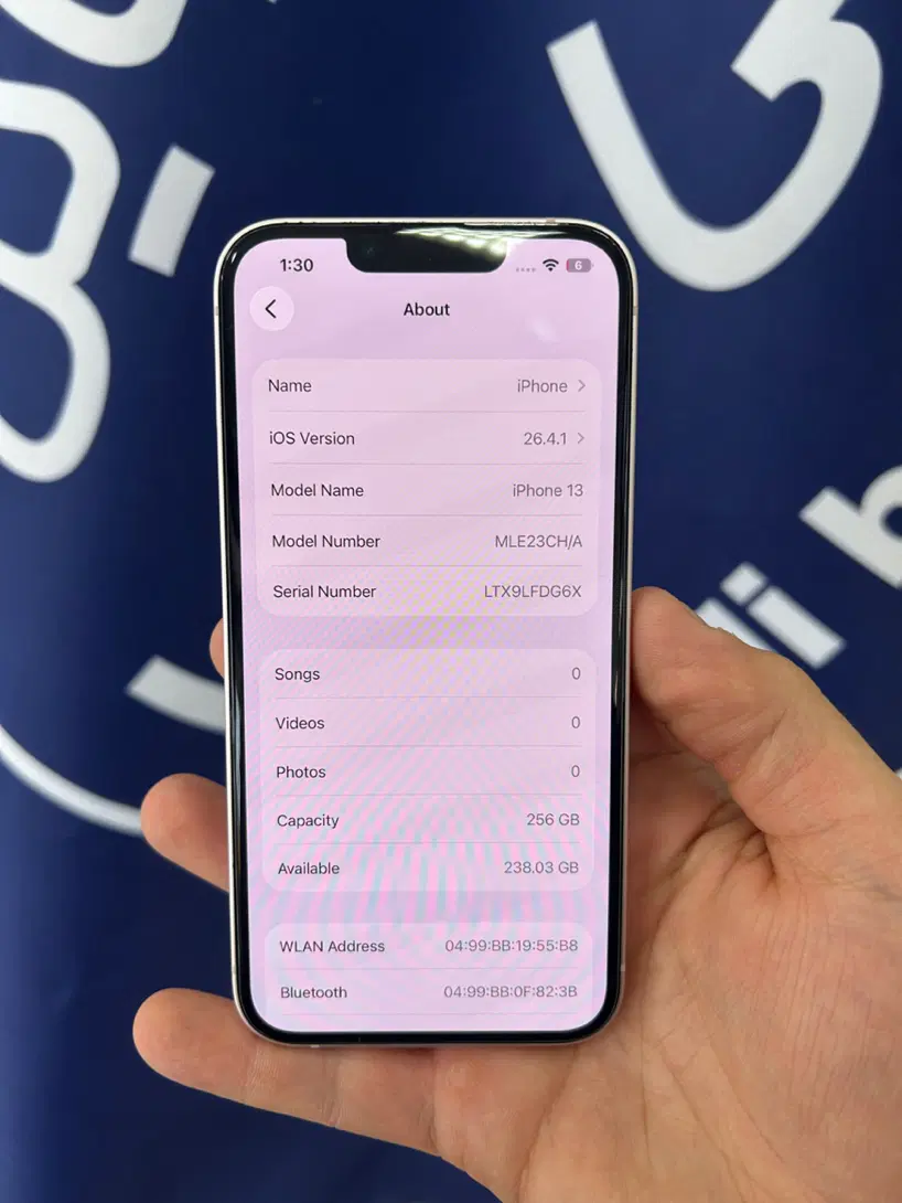 iphone 13|موبایل|قم, چهل درخت‎|دیوار