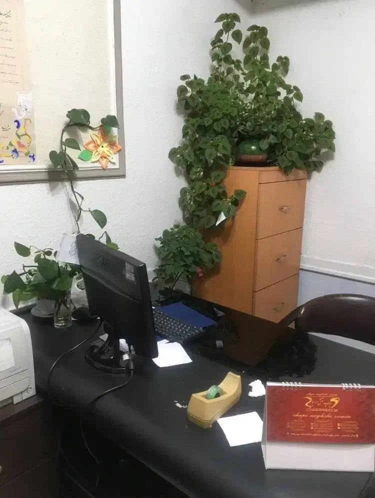 استخدام مشاورتحصیلی دورکاری خانم|استخدام آموزشی|اراک, |دیوار