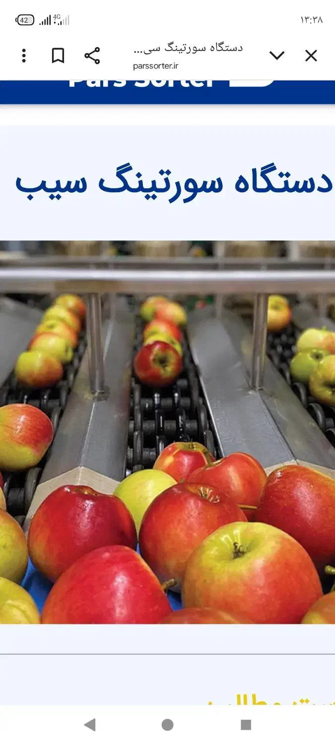 کار در سردخانه و سورتینگ|استخدام خدمات فروشگاه و رستوران|مهاباد (آذربایجان غربی), |دیوار