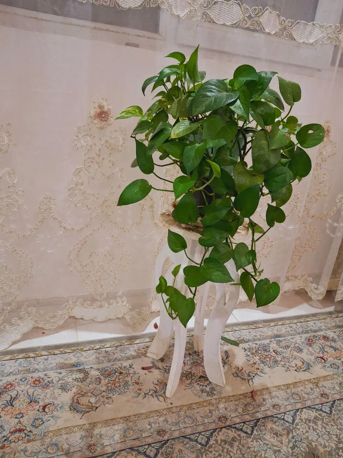 گل مصنوعی|گل مصنوعی|نورآباد, |دیوار