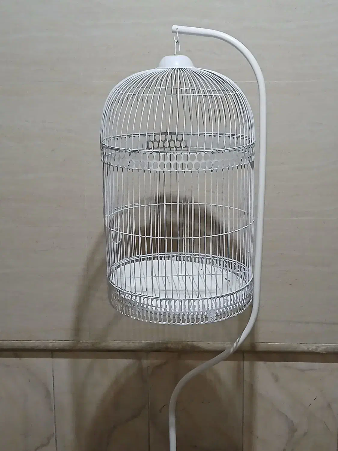 قفس پرند شیک|لوازم جانبی حیوانات|مه ولات, |دیوار