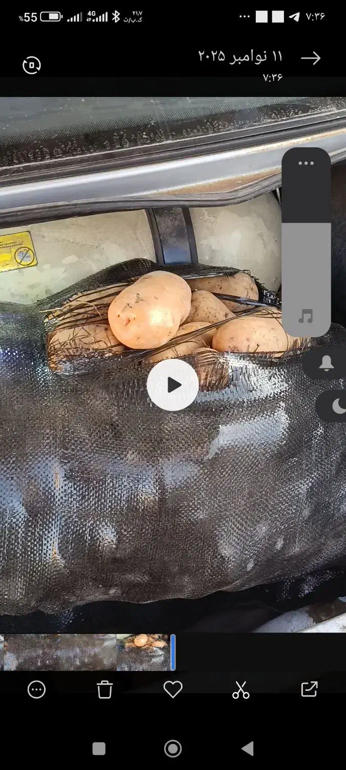 سیب زمینی درجه یک (سه کیسه موجوده فقط)|خوردنی و آشامیدنی|نمین, |دیوار