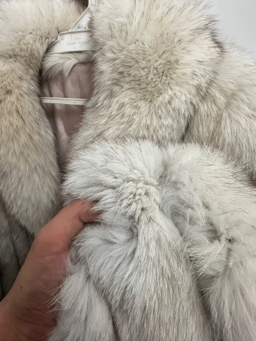 پالتو پوست|لباس|اسلامشهر, شهرک مفیدی|دیوار