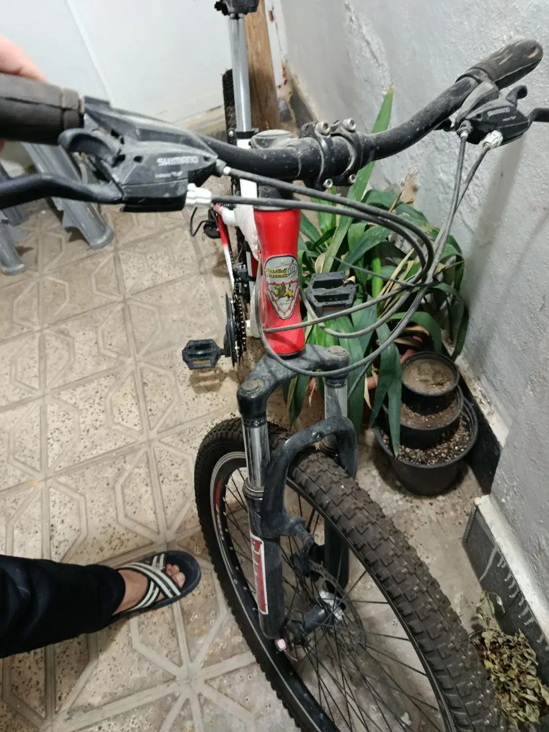 دوچرخه 26 آساک دوچرخ|دوچرخه، اسکیت، اسکوتر|مشهد, وکیلآباد|دیوار