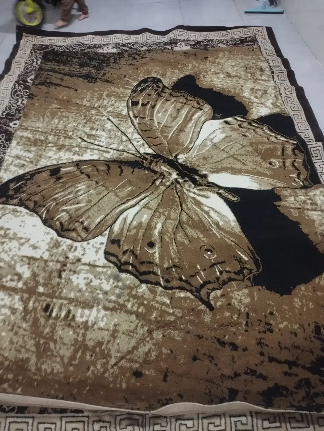 کابینت و فرش گلیم|گلیم، جاجیم، گبه|مهاباد (آذربایجان غربی), |دیوار