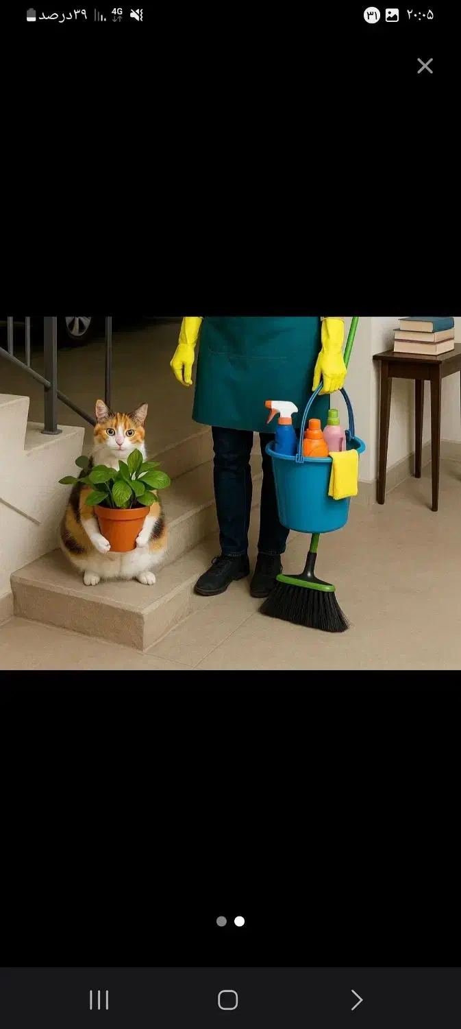 شرکت نظافتی  بهاری|خدمات نظافت|مشهد, الهیه|دیوار