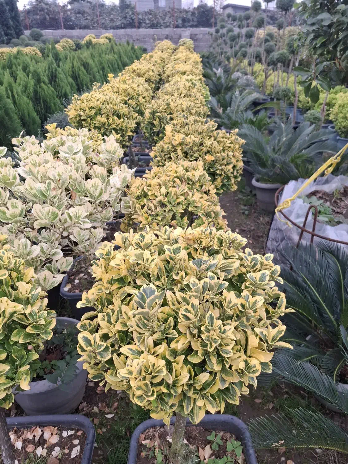 نگهبان شب|استخدام سرایداری و نظافت|محمدیه-قزوین, |دیوار