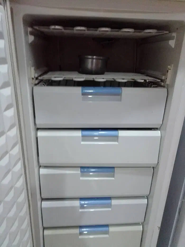 فریزر|یخچال و فریزر|آبدانان, |دیوار