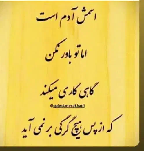 راهنمایی|فعالیت داوطلبانه|تهران, امیریه|دیوار