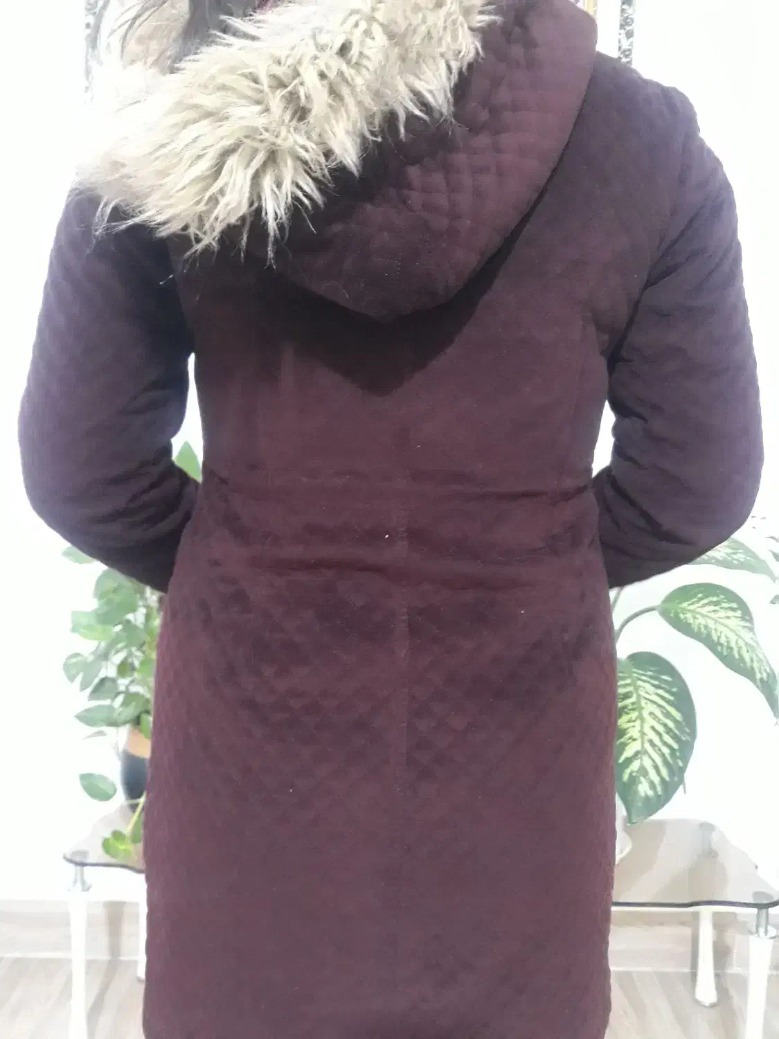 ۲تا پالتو|لباس|تربت جام, شاهد|دیوار