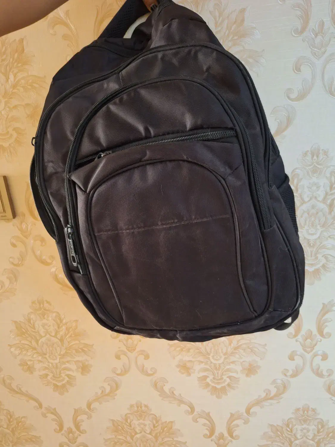 کوله|کیف، کفش، کمربند|یزد, |دیوار