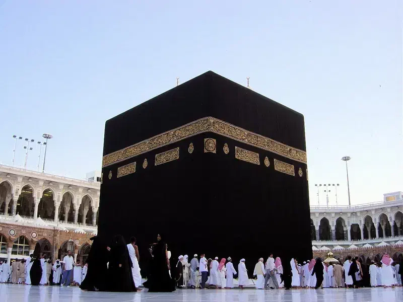 فروش حج واجب|تور و چارتر|ضیاء آباد, |دیوار