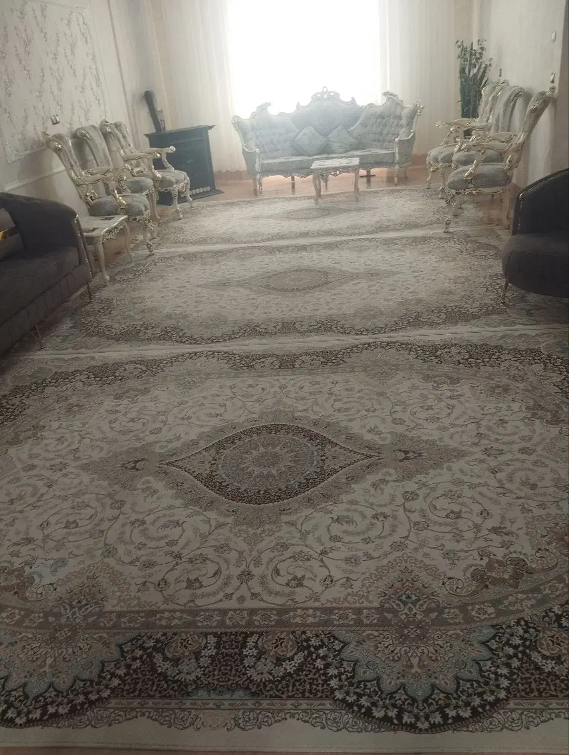 فرش9متری|فرش|تربتحیدریه, اندیشه|دیوار