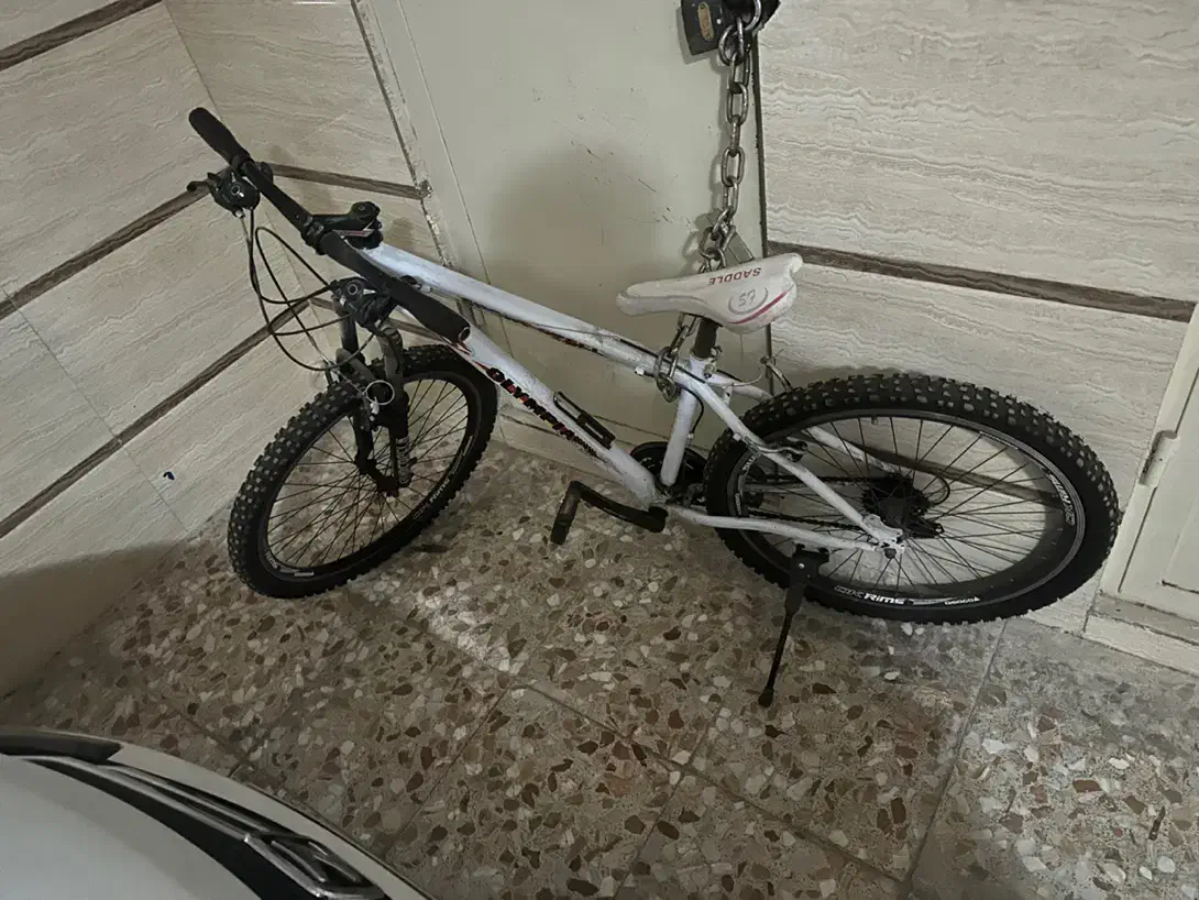 دوچرخه|دوچرخه، اسکیت، اسکوتر|قدس, شهرقدس|دیوار