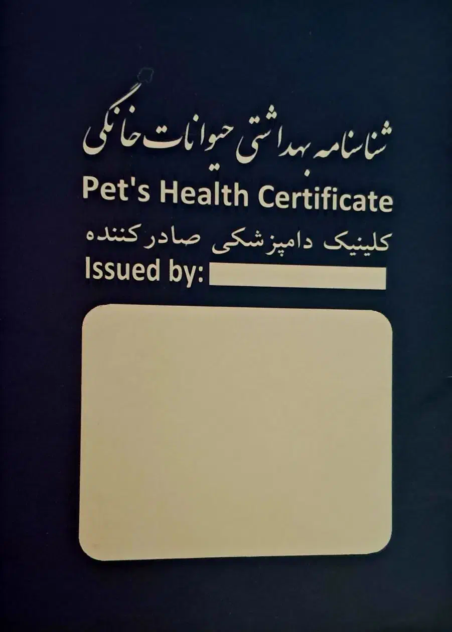 سگ نگهبان|سگ|گنبد کاووس, |دیوار