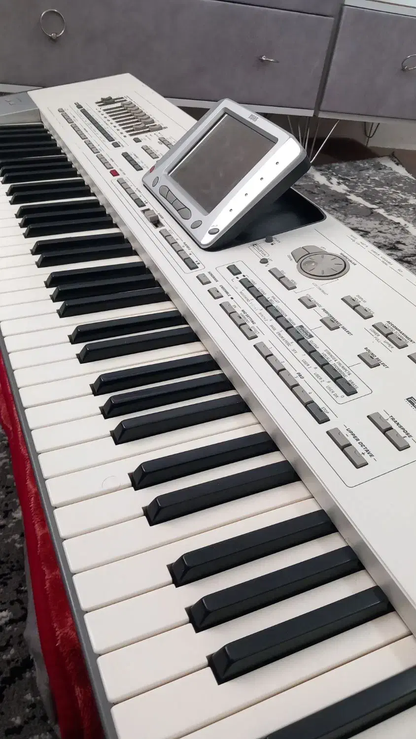 کرگpax2|پیانو، کیبورد، آکاردئون|اشنویه, |دیوار