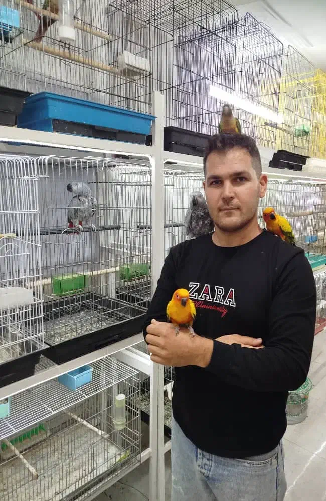 کاسکو خورشیدی گرینچیک در پرنده سرای ابوالفضل|پرنده|قائمشهر, |دیوار