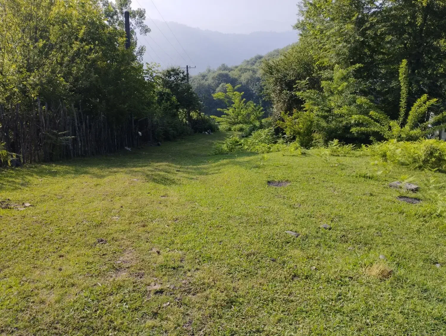 فروش فوری قطعه زمین باغی ۵۰۰متری منطقه بکر اطاقور|فروش زمین و ملک کلنگی|اطاقور, |دیوار