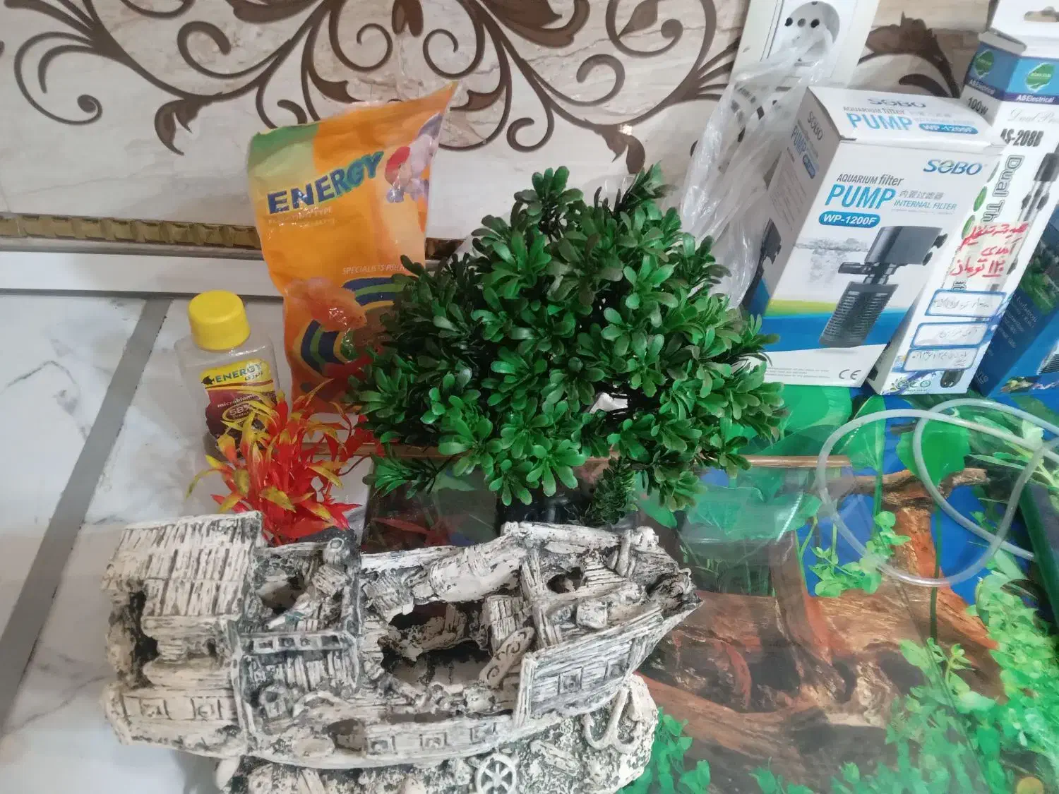 اکواریوم رایگان|ماهی|رباط‌کریم, نصیرشهر|دیوار