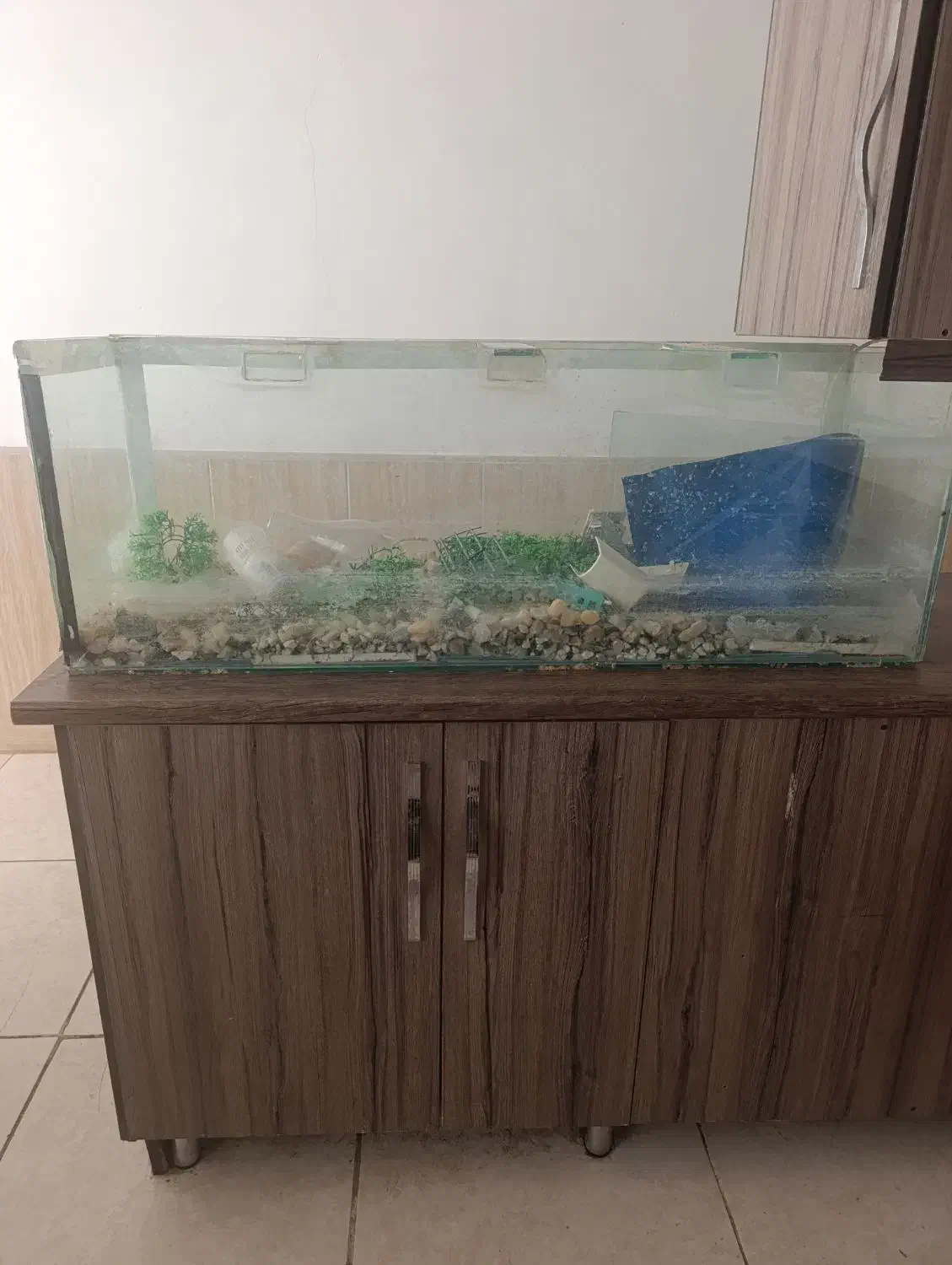 اکواریوم|ماهی|کاشان, فاز ۲ ناجی آباد|دیوار