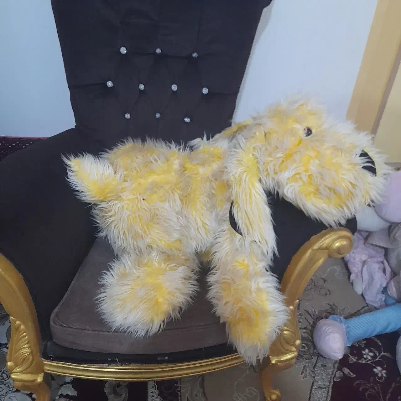 عروسک|اسباببازی بچه|مشهد, شهید معقول|دیوار