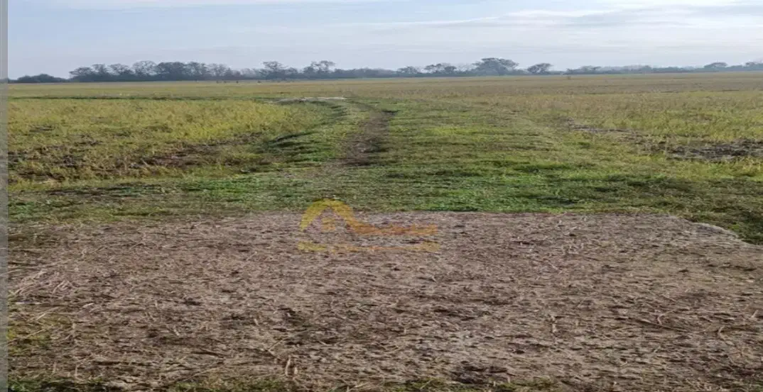 زمین ویلای در روستای یالقوز اغاج|فروش زمین و ملک کلنگی|کشکسرای, |دیوار