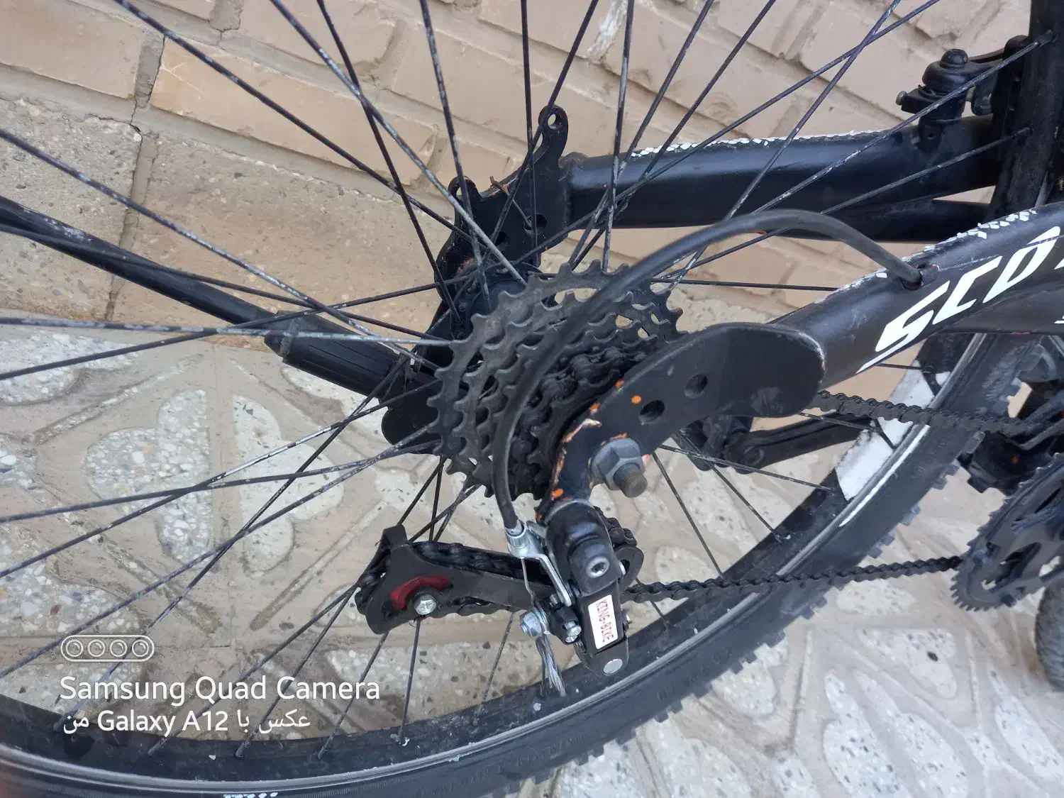 فروش دوچرخه|دوچرخه، اسکیت، اسکوتر|بهمن صغاد, |دیوار