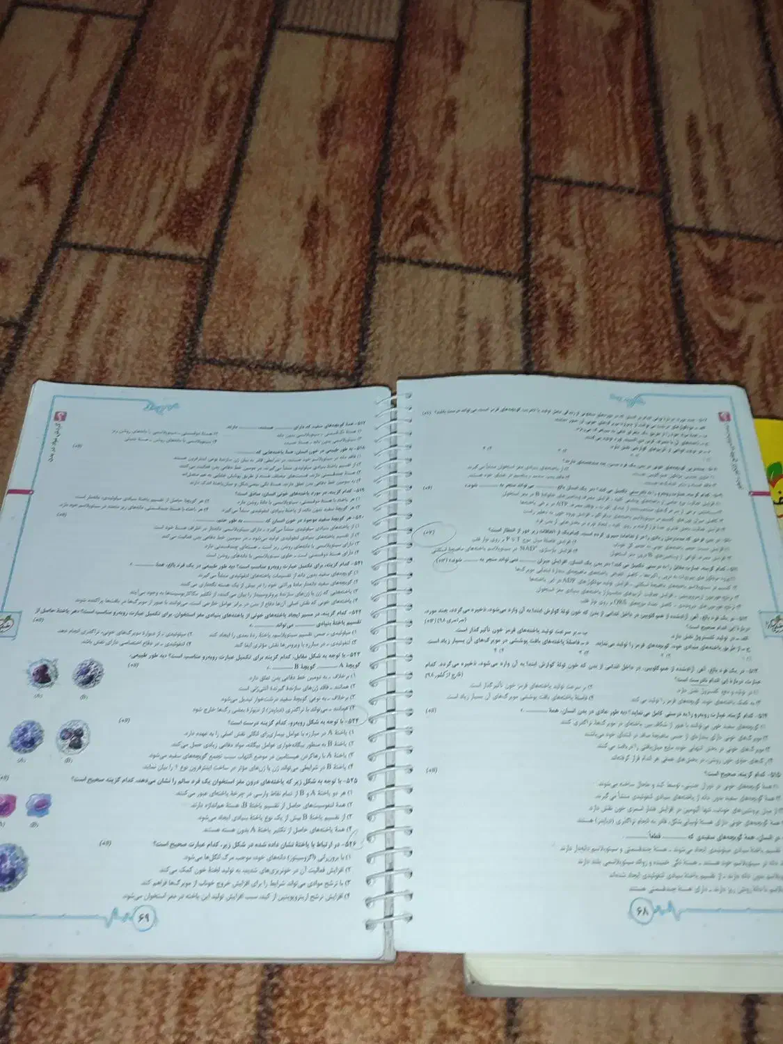 زیست شناسی پینوکیو جامع|لوازم التحریر|فردیس, نگارستان|دیوار