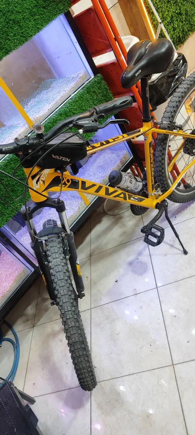 دوچرخه ویوا تنه ۲۹|دوچرخه، اسکیت، اسکوتر|بجستان, |دیوار