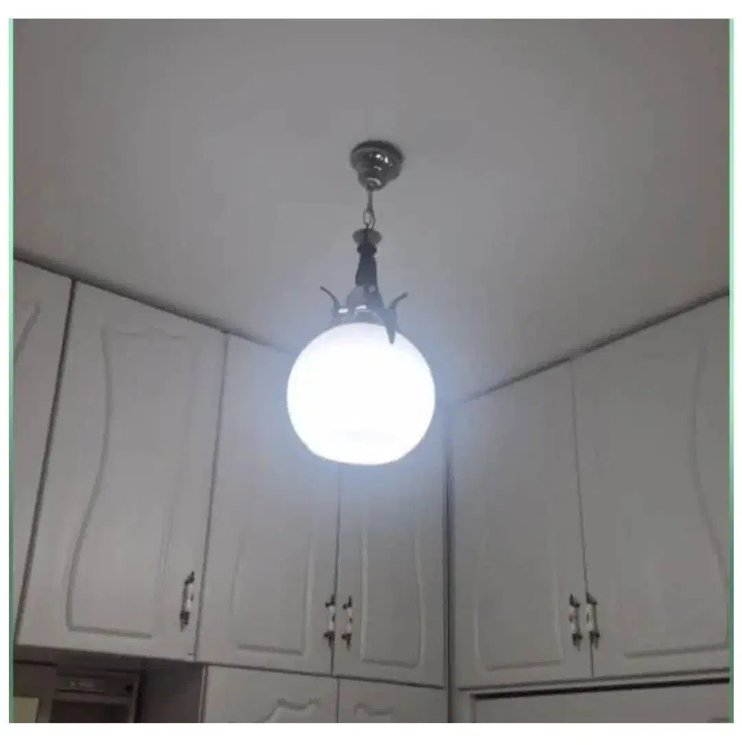 لوستر اتاقی|لوستر و چراغ آویز|باغستان, |دیوار