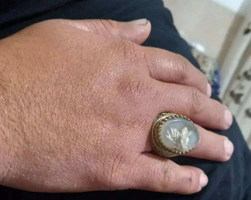 انگشتر شجر|جواهرات|شیراز, شهدای شهرک سعدی|دیوار