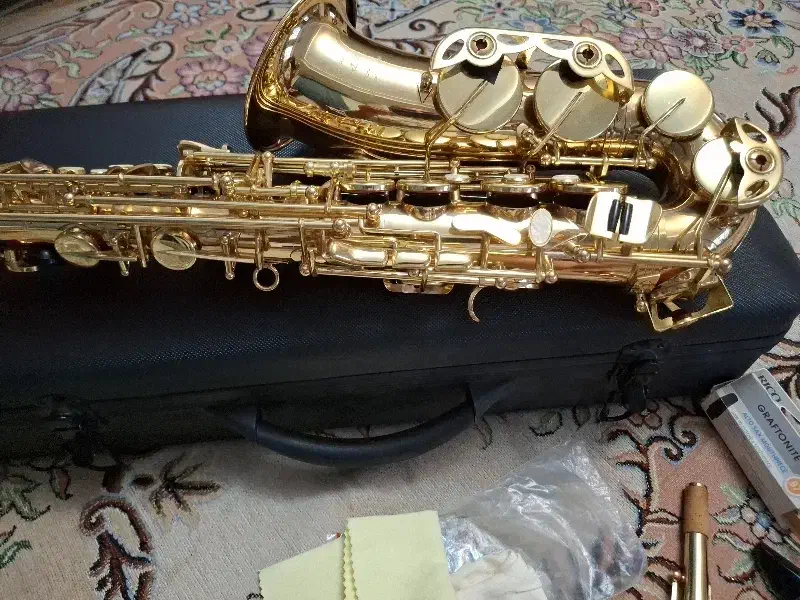 ساکسیفون مکستون  فرانسه|سازهای بادی|تبریز, |دیوار