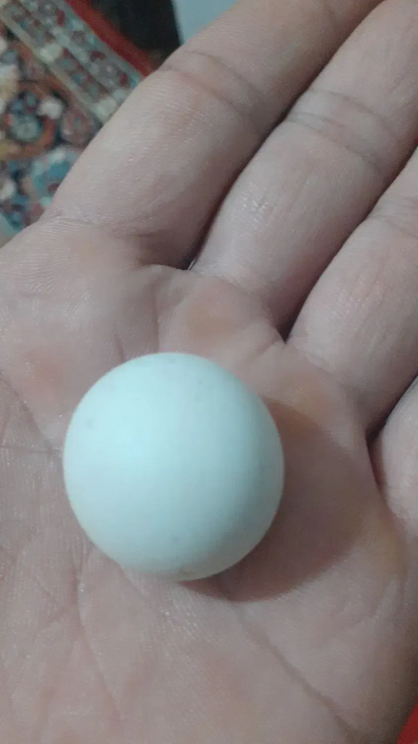 سنگ|جواهرات|میاندوآب, |دیوار