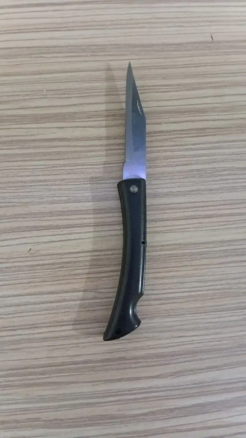 کارد آشپز خونه دست ساز|کلکسیون و سرگرمی|ری, ظهیرآباد|دیوار