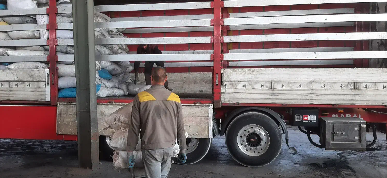 کربن زغال پوسته پوست پسته بادام زردآلو آلبالو|کوهنوردی و کمپینگ|شاهینشهر, مورچه خورت|دیوار