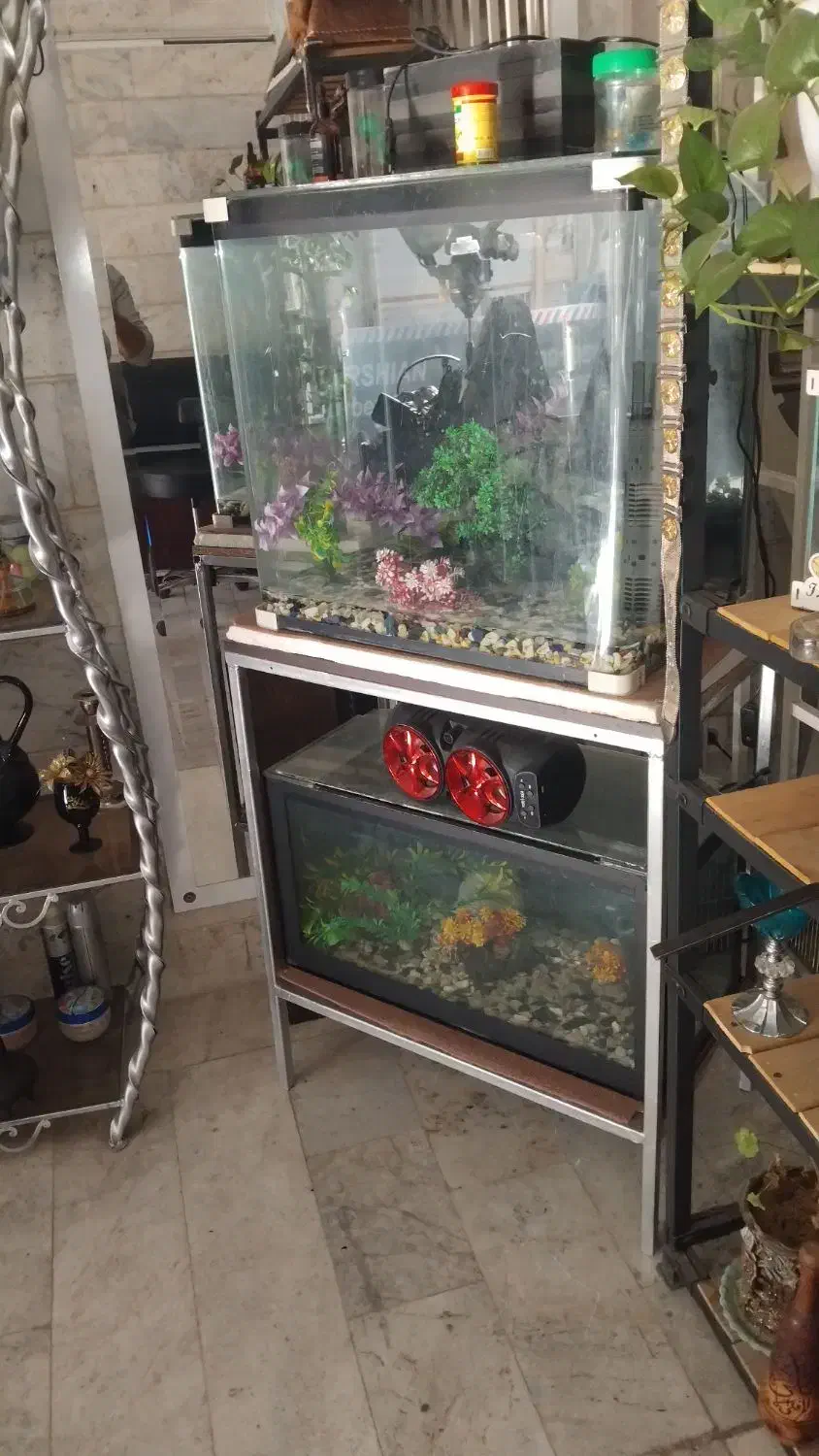 دو عدد اکواریوم کاملا سالم و فعال|ماهی|رباطکریم, رباطکریم|دیوار