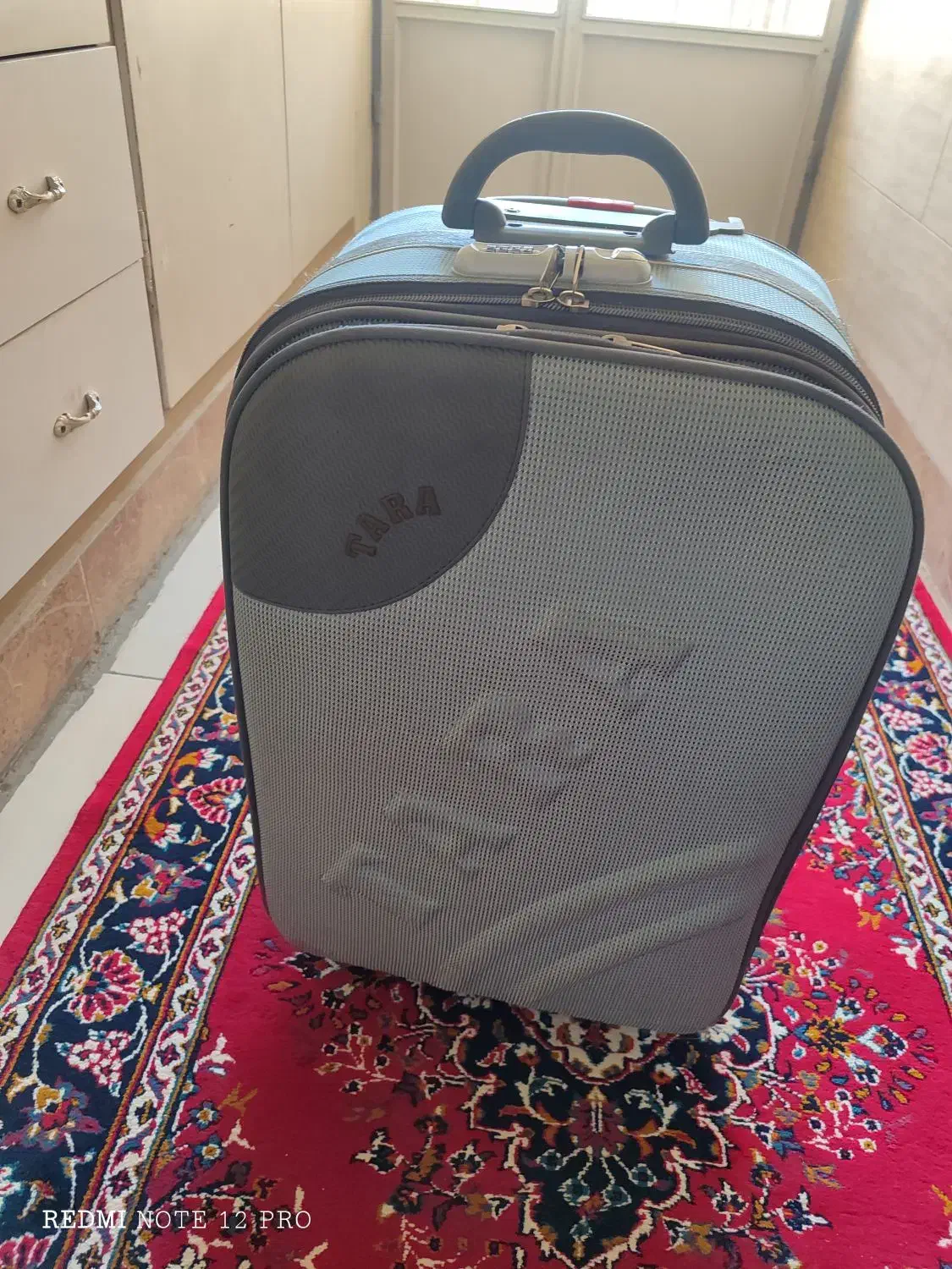 چمدان|کیف، کفش، کمربند|گلپایگان, |دیوار