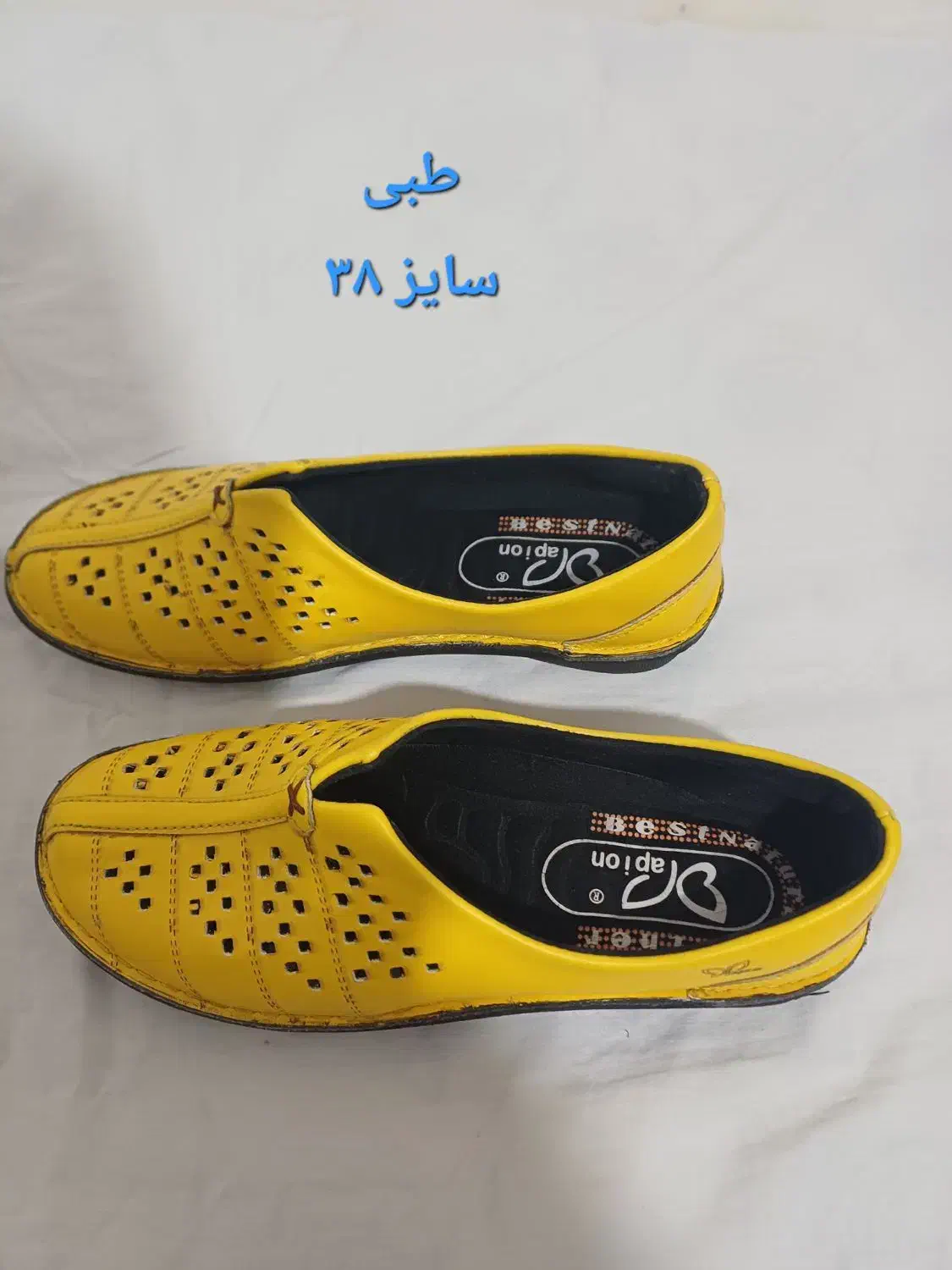 کیف کفش|کیف، کفش، کمربند|یاسوج, |دیوار