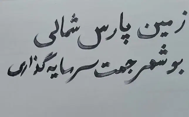 فروش زمین ۳۰۰۰۰۰ متر پارس شمالی بوشهر|فروش دفتر صنعتی، کشاورزی، تجاری|بردخون, |دیوار