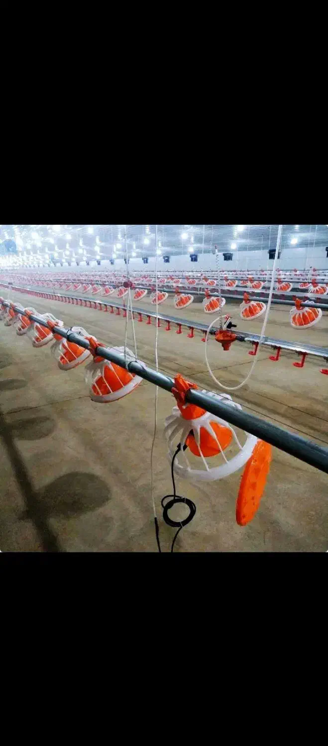 تعمیرات تجهیزات مرغداری|خدمات پیشه و مهارت|خان ببین, |دیوار