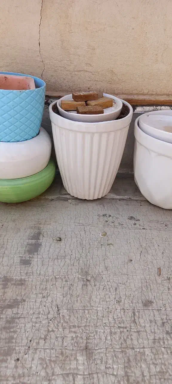 گلدان سفال|گل و گیاه طبیعی|قم, مهدیه|دیوار