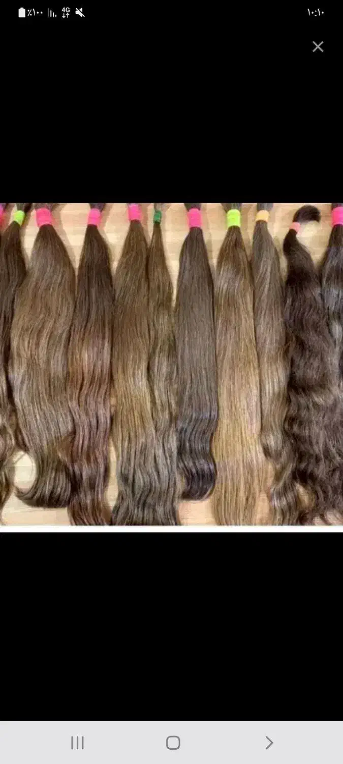 موی زال و بور|آرایشی، بهداشتی، درمانی|قم, شاه احمد قاسم|دیوار