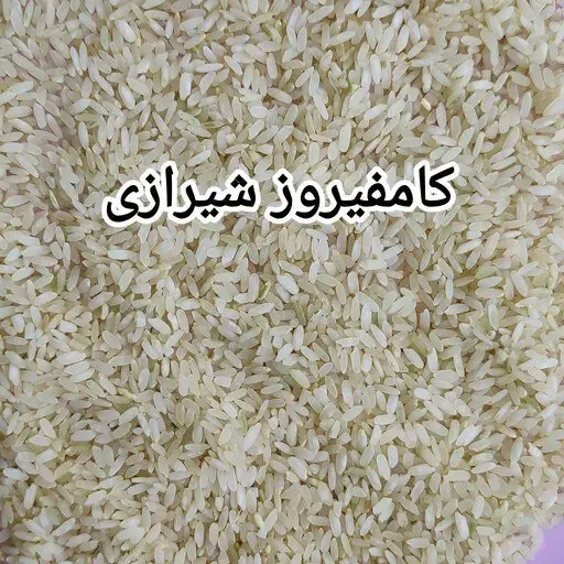 برنج کامفیروزی تازه فرد اعلا|خوردنی و آشامیدنی|شیراز, فرگاز|دیوار