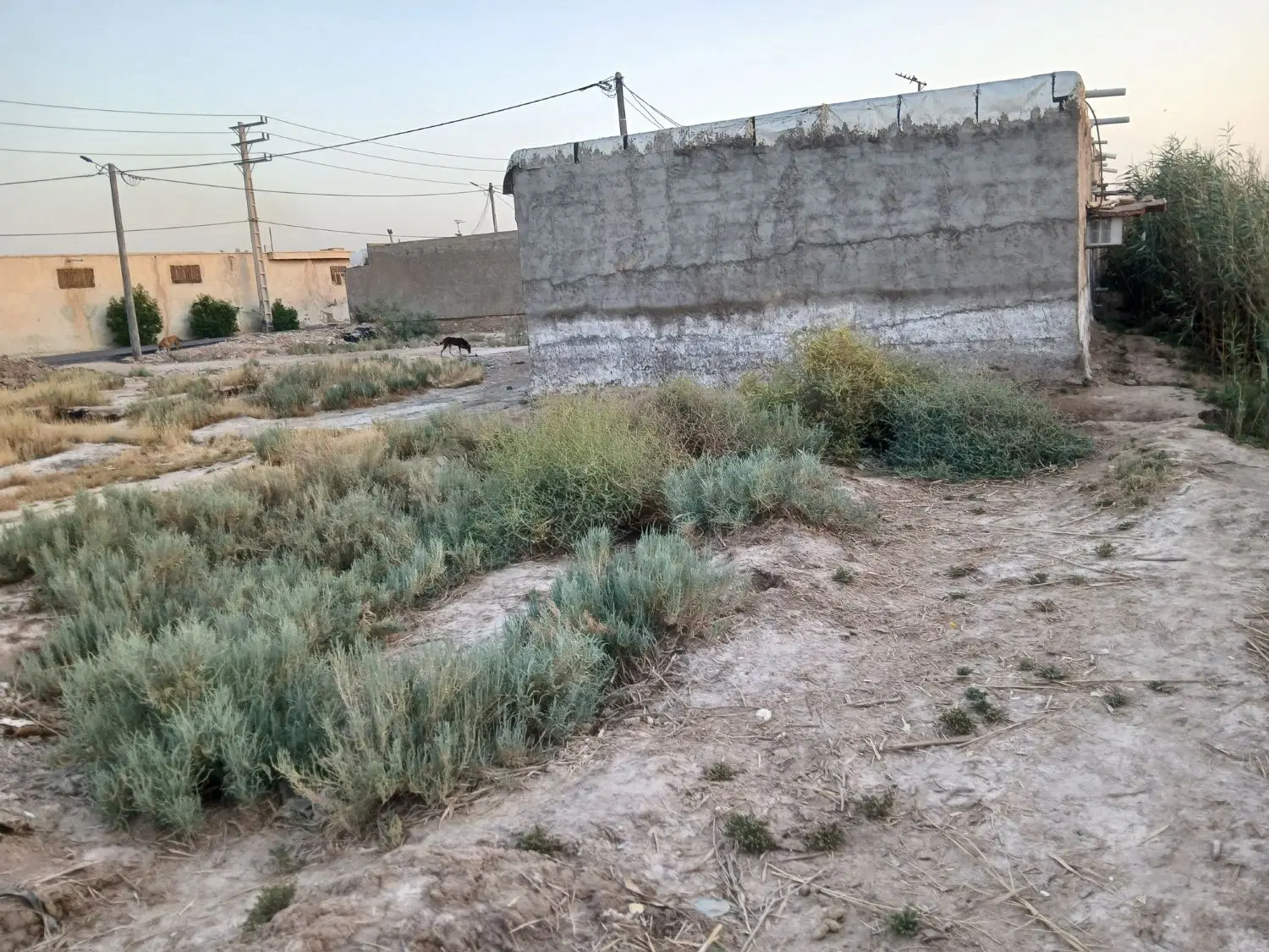 زمین|فروش زمین و ملک کلنگی|آبادان, |دیوار