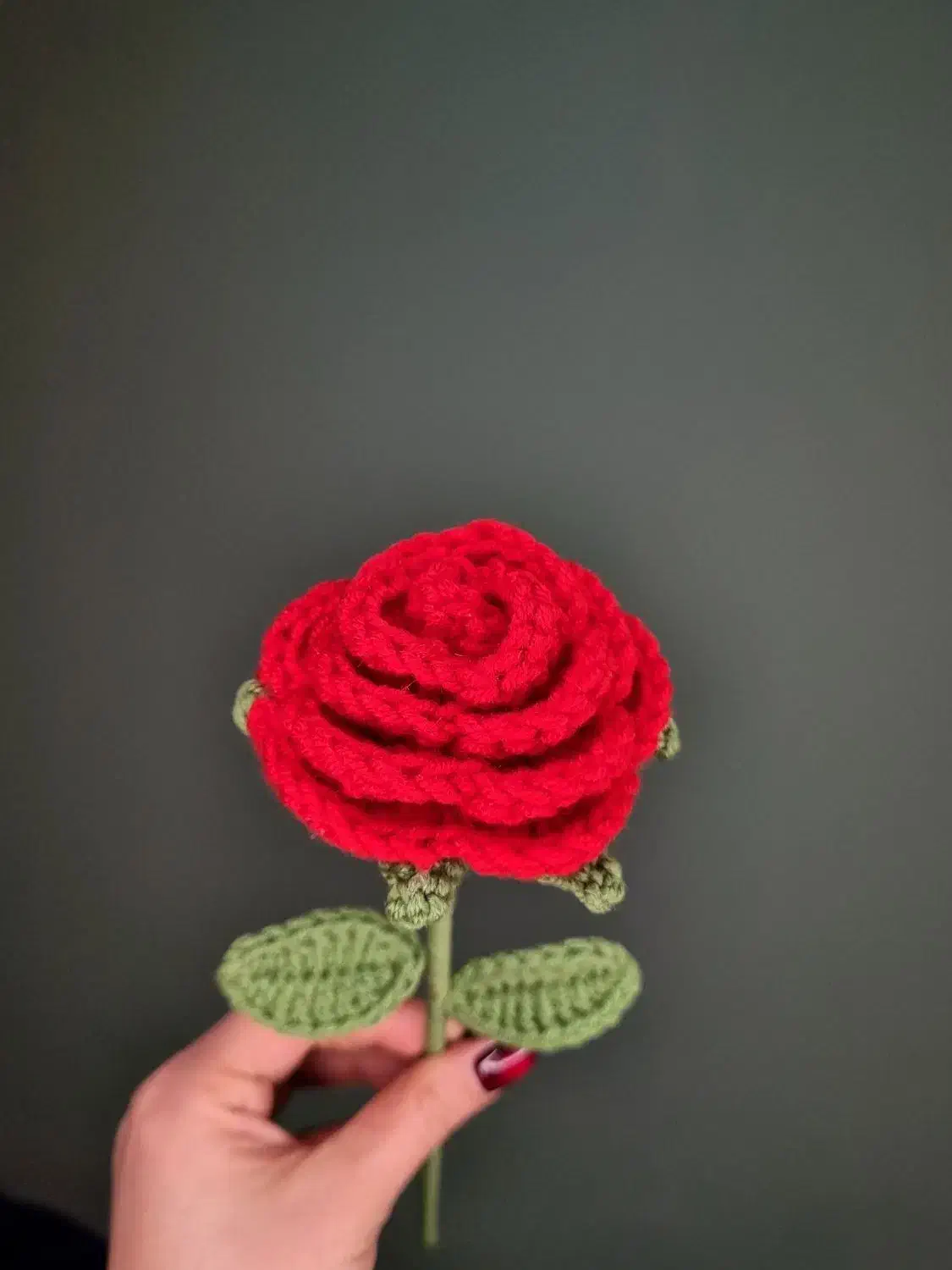 گل رز بافتنی|صنایع دستی و سایر لوازم تزئینی|رشت, معلم|دیوار