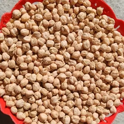 نخود|خوردنی و آشامیدنی|اسدآباد, |دیوار