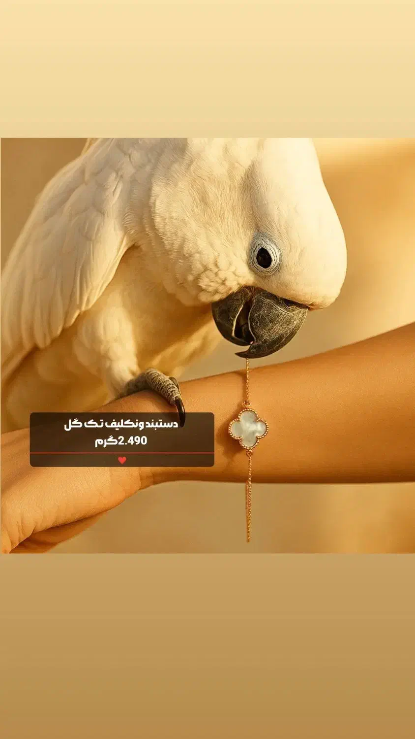 دستبندهای خوش وزن و کم اجرت طــلای علی|جواهرات|شوش, |دیوار