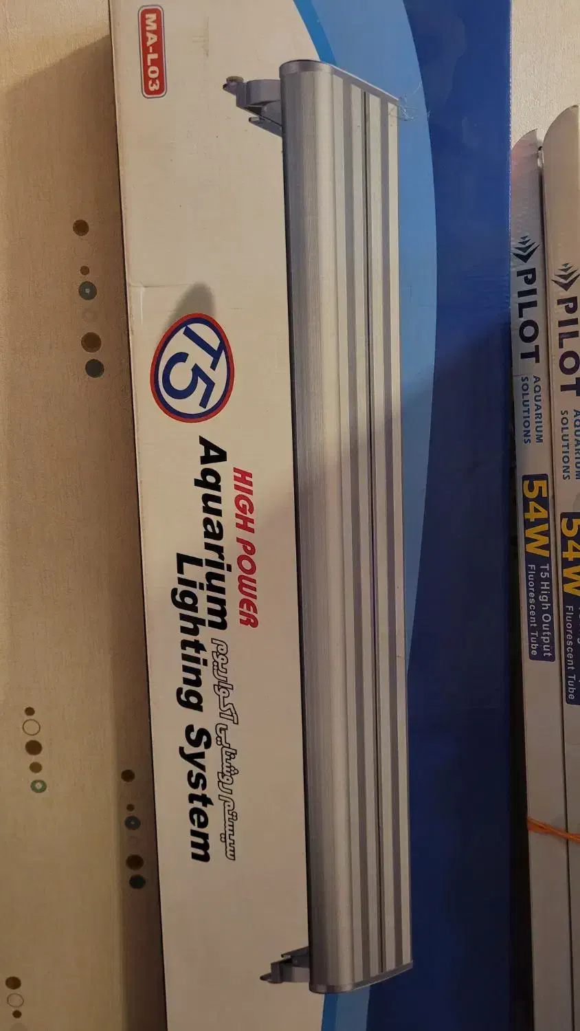 قاب مهتابی آکواریوم ماهیران|ماهی|شیراز, فرهنگ شهر|دیوار